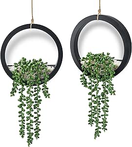 Der Rose hanging succulent wall decor product photo